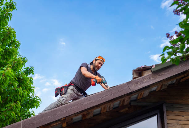 Best Roof Moss and Algae Removal  in Kelseyville, CA